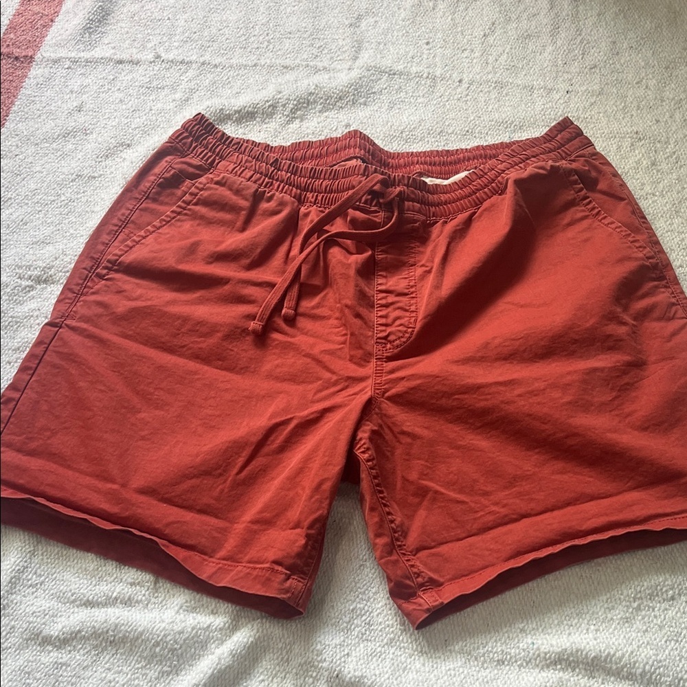Vans Men's Rust Cargo Shorts